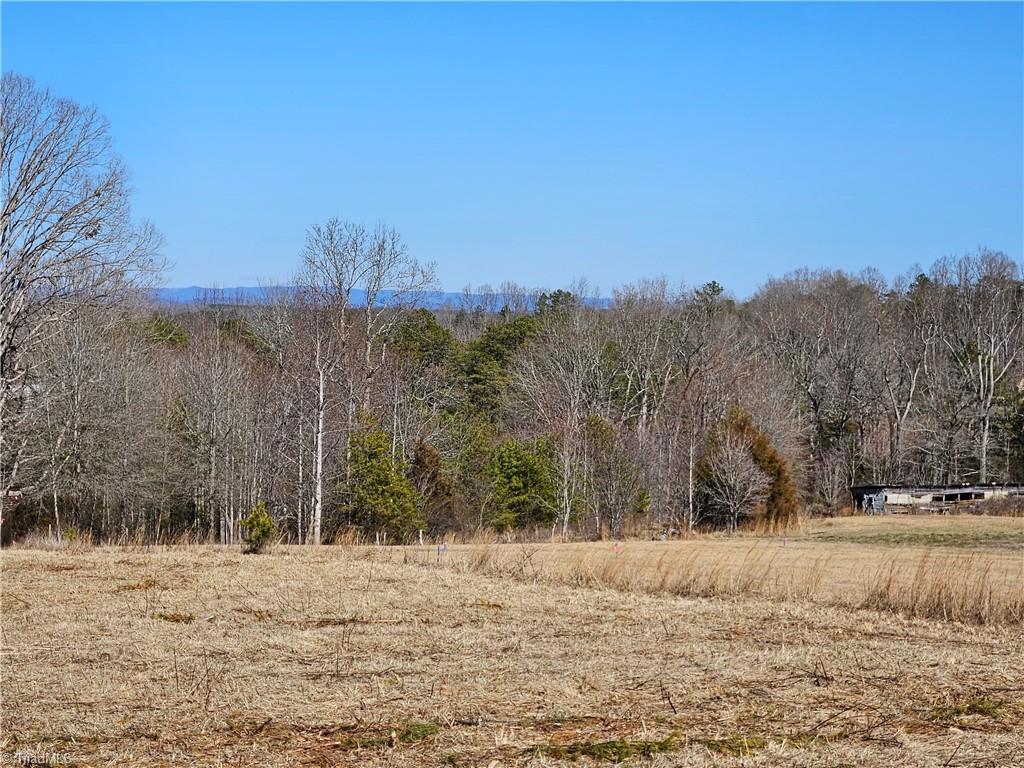 00 Whitaker Chapel Road # 2 Property Photo 11
