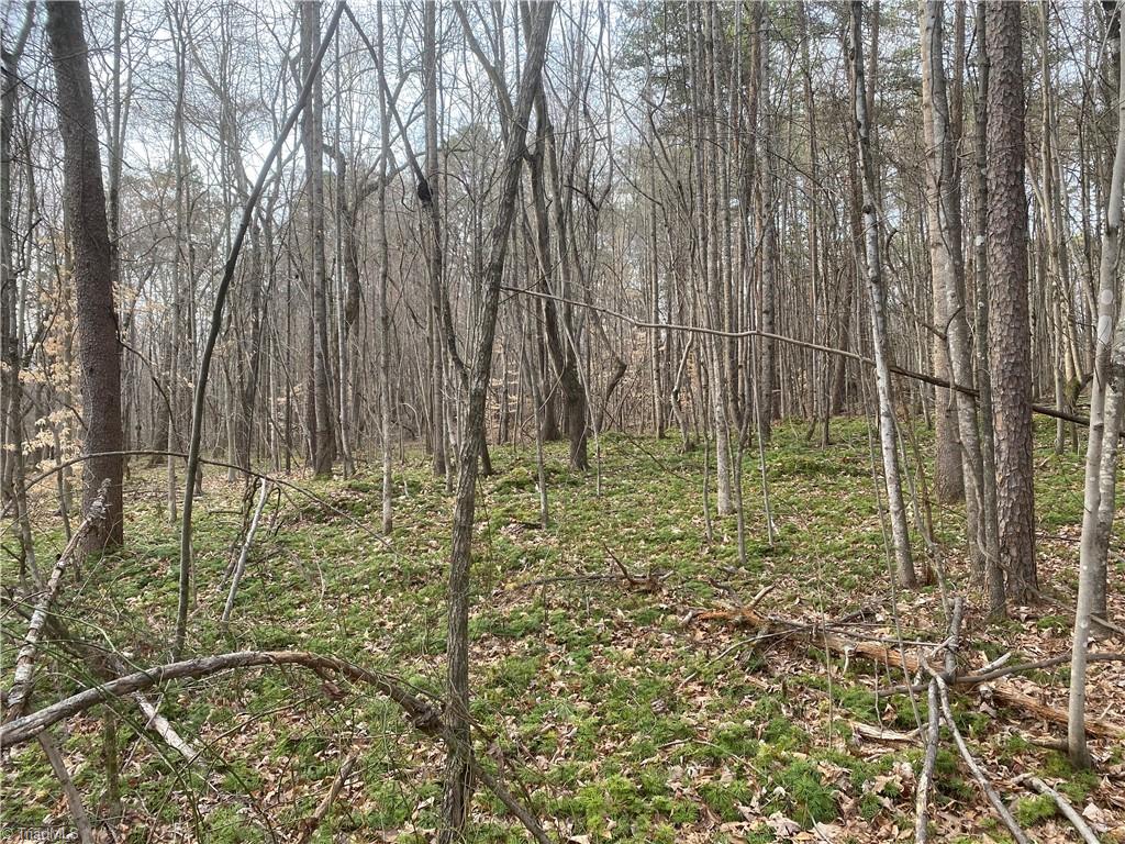 3765 New Walkertown Road Property Photo 5