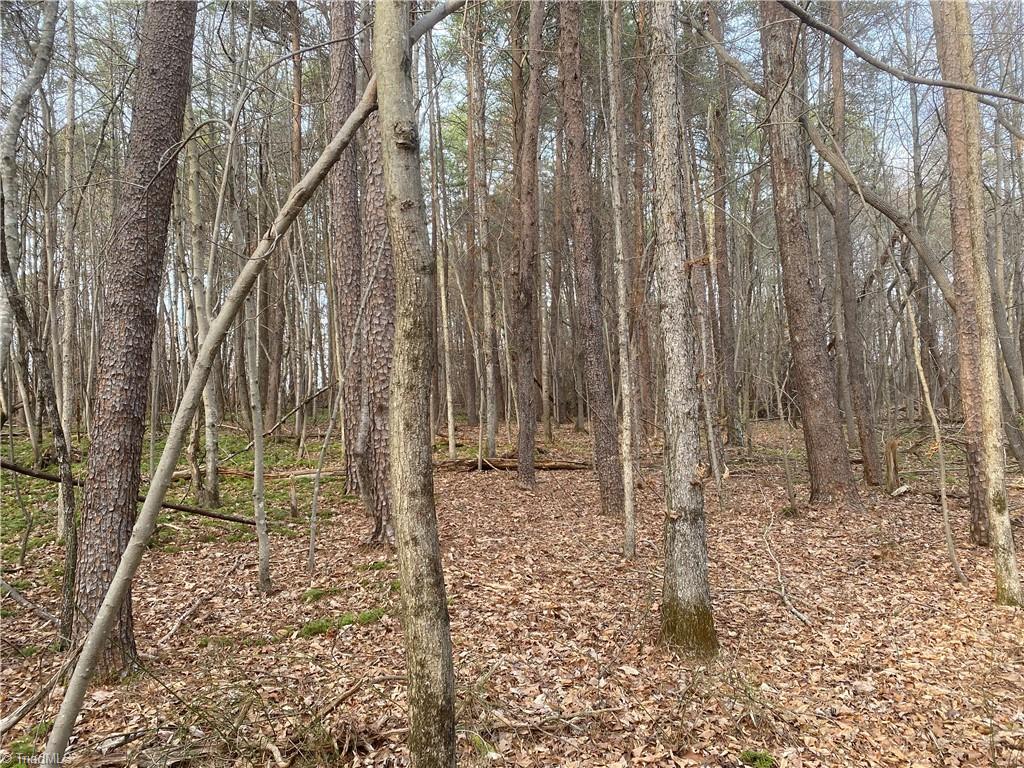 3765 New Walkertown Road Property Photo 6