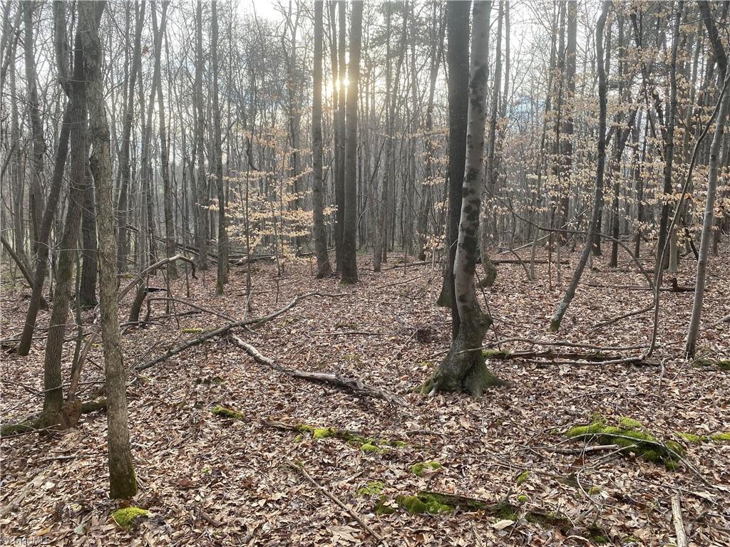 3765 New Walkertown Road Property Photo 8