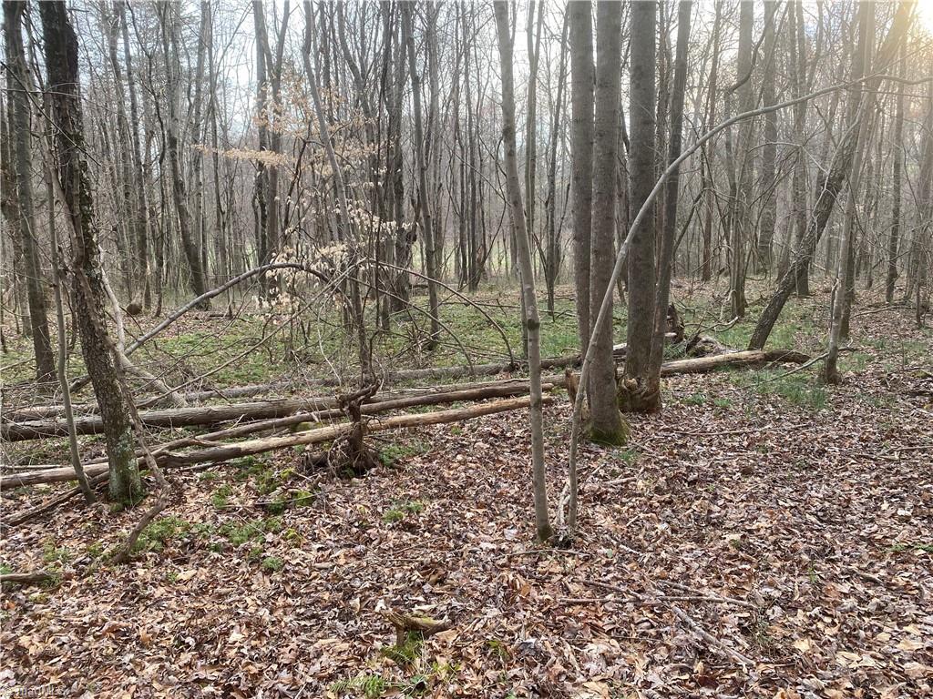 3765 New Walkertown Road Property Photo 9