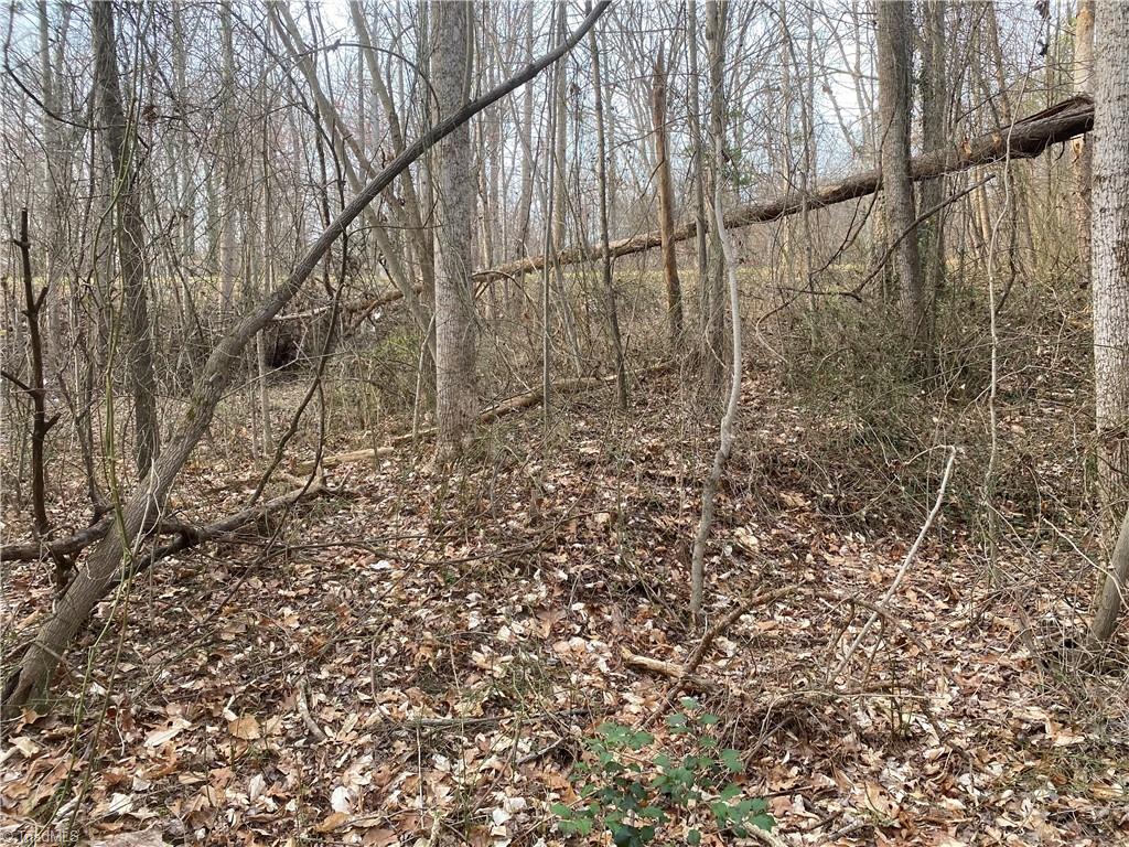3765 New Walkertown Road Property Photo 11