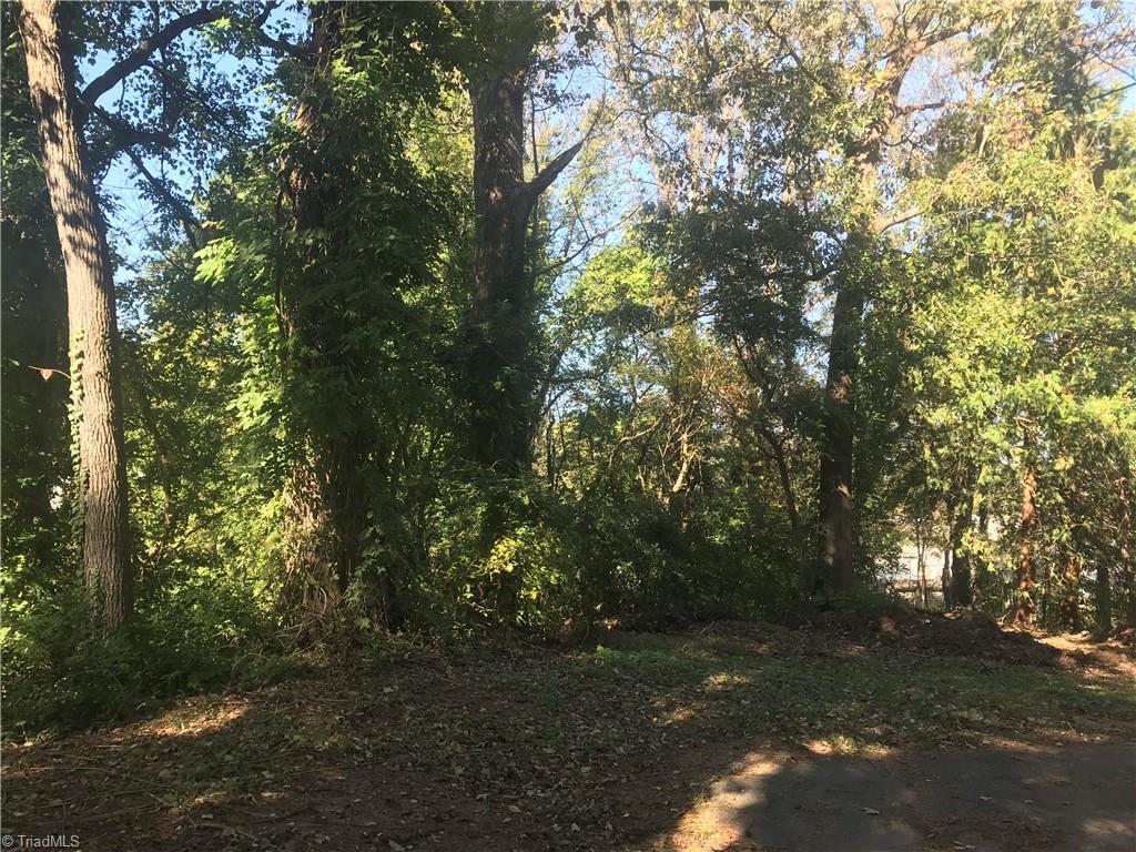 1307 Old Salisbury Road Property Photo 7