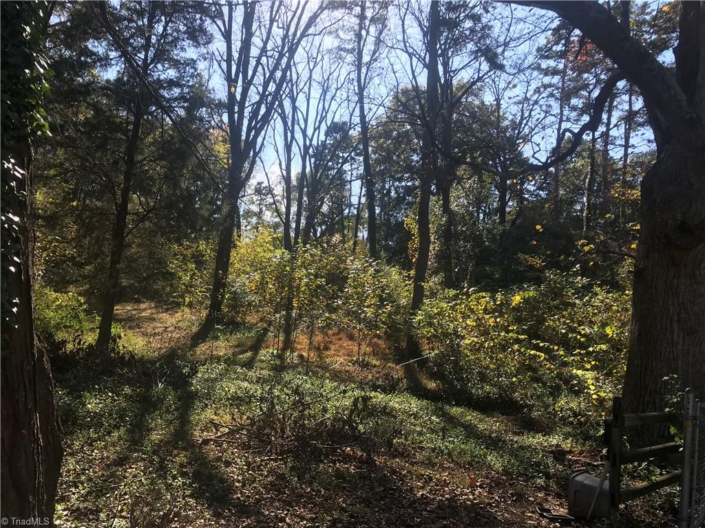 1307 Old Salisbury Road Property Photo 11