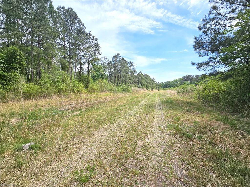 Xx 54 Acres+- Country Road Property Photo