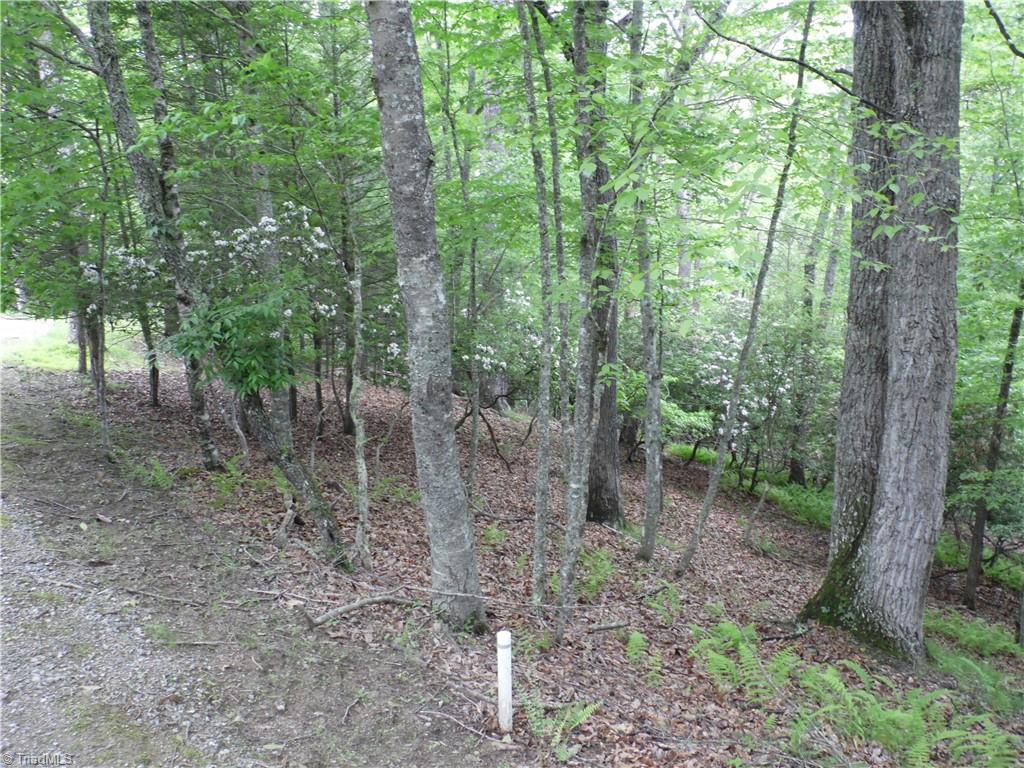 Tbd Deer Valley Road Property Photo 2
