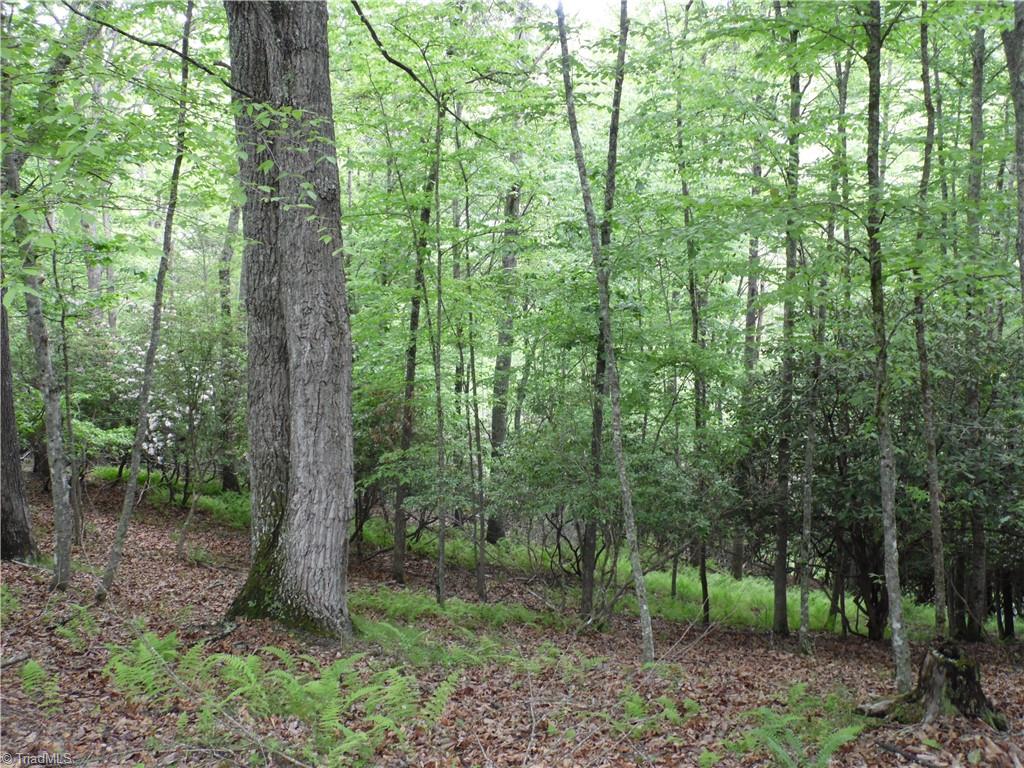 Tbd Deer Valley Road Property Photo 3