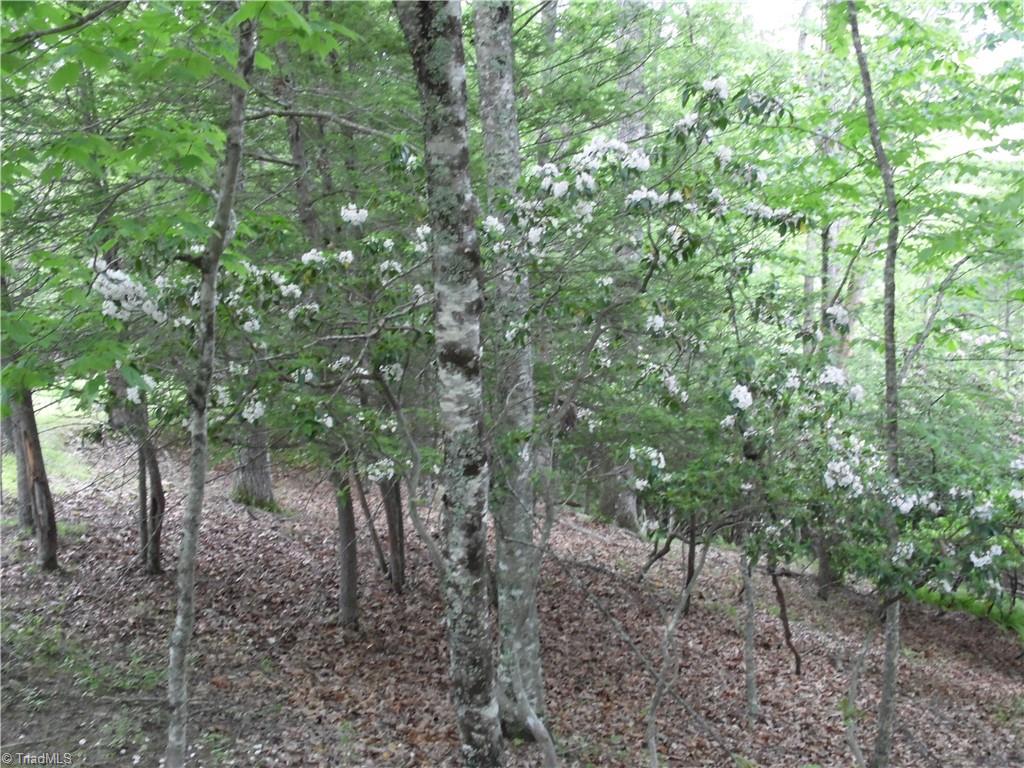 Tbd Deer Valley Road Property Photo 4