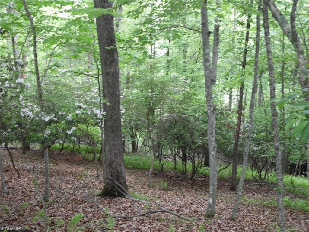 Tbd Deer Valley Road Property Photo 5