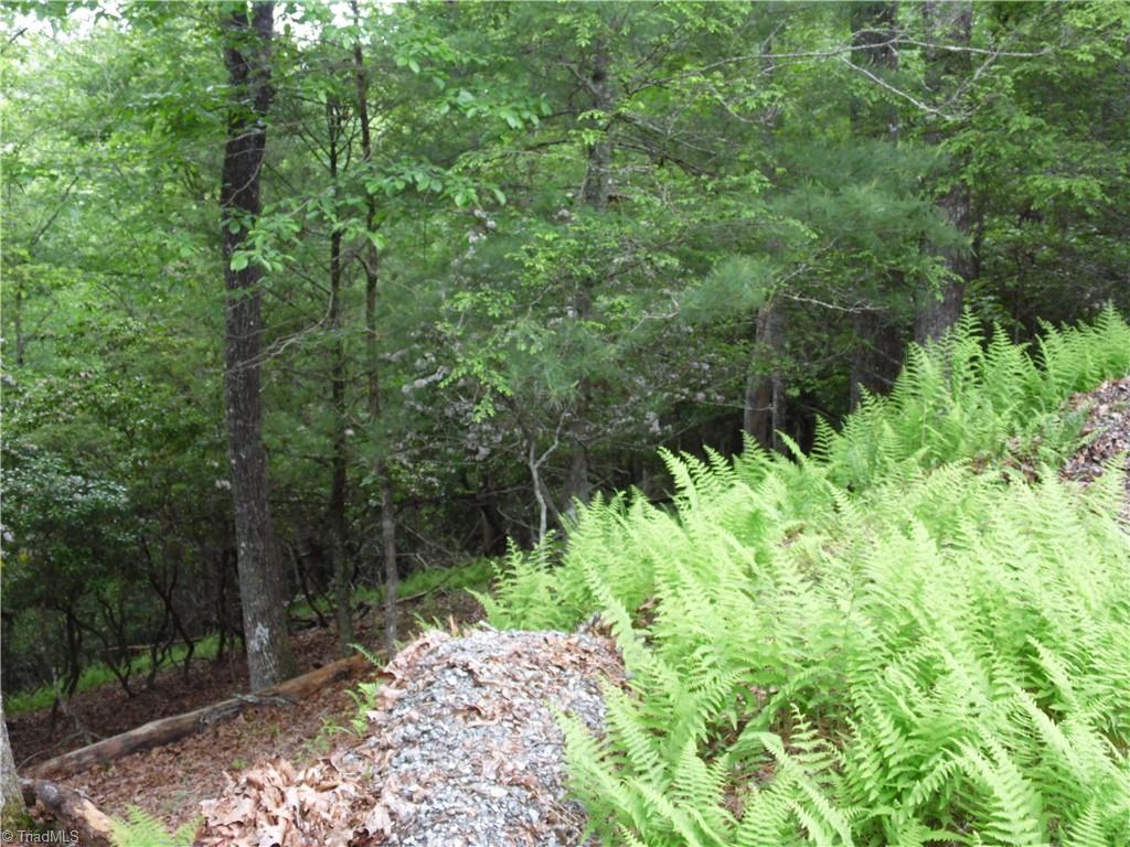 Tbd Deer Valley Road Property Photo 6