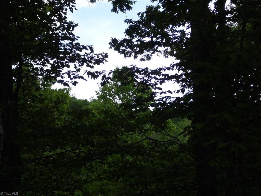 Tbd Deer Valley Road Property Photo 7