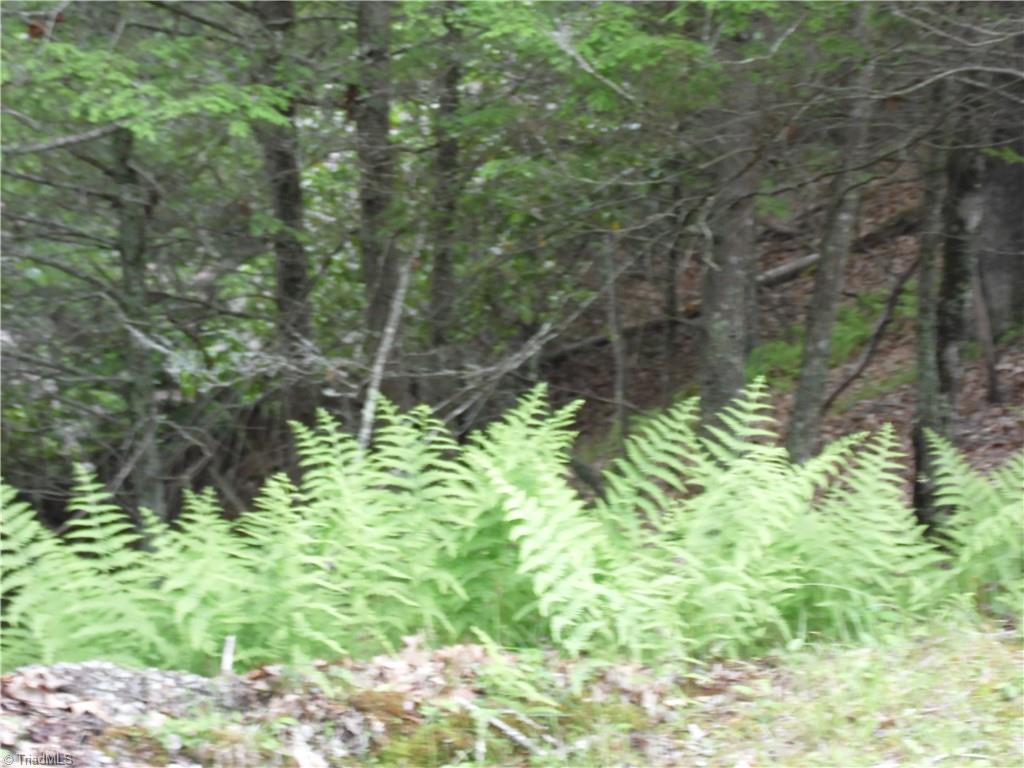 Tbd Deer Valley Road Property Photo 8