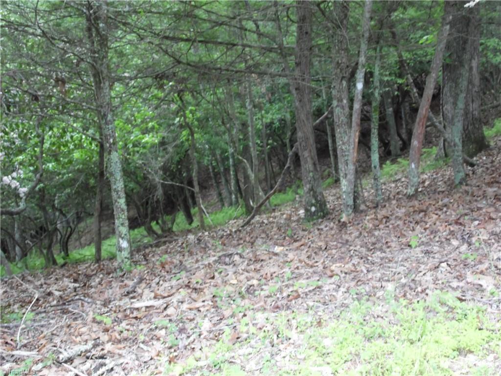 Tbd Deer Valley Road Property Photo 9