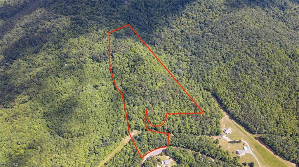 0 Bear Trail Property Photo