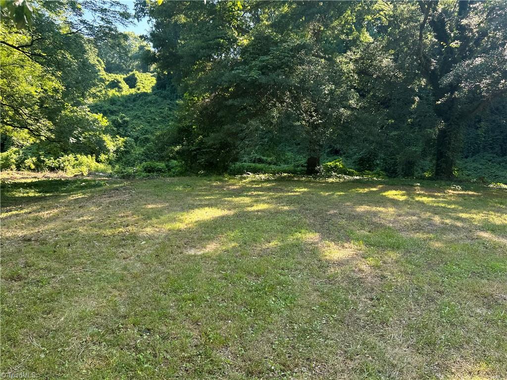 Lot 3 Willard Road Property Photo 1