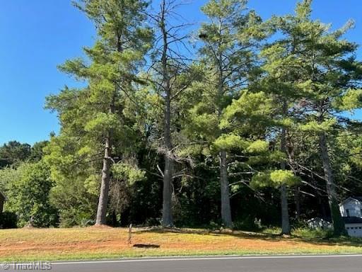 0 Yadkinville Road Property Photo 1