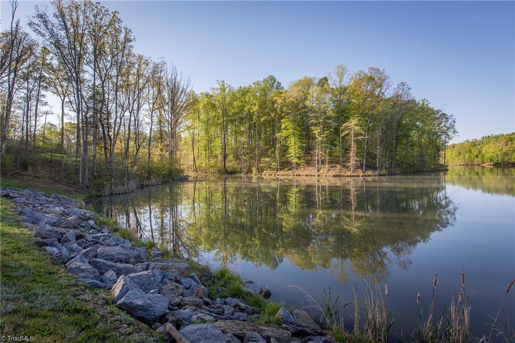 9658 Lissara Camp Court Property Photo 3
