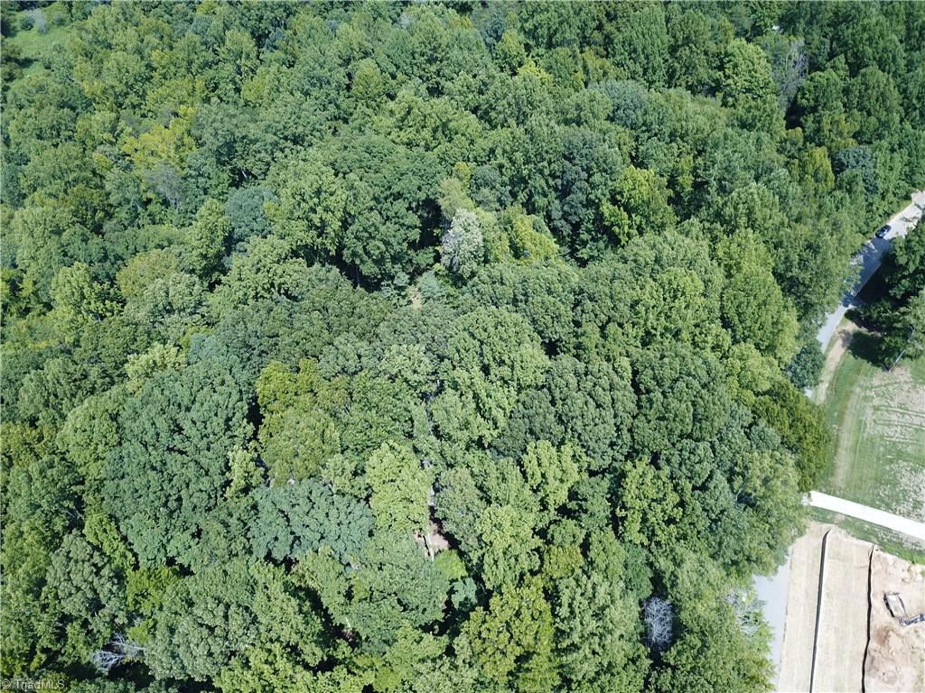 5421 Rambling Road Property Photo 3