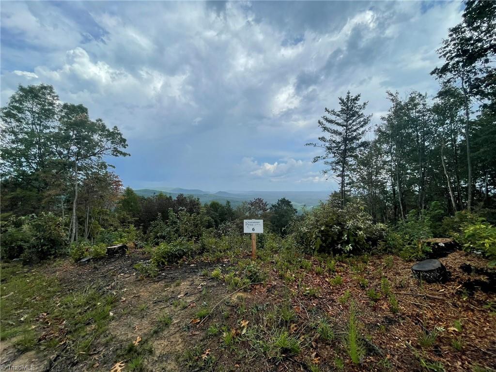 Tract 6 Blackberry Ridge Cabin Creek Road Property Photo 2