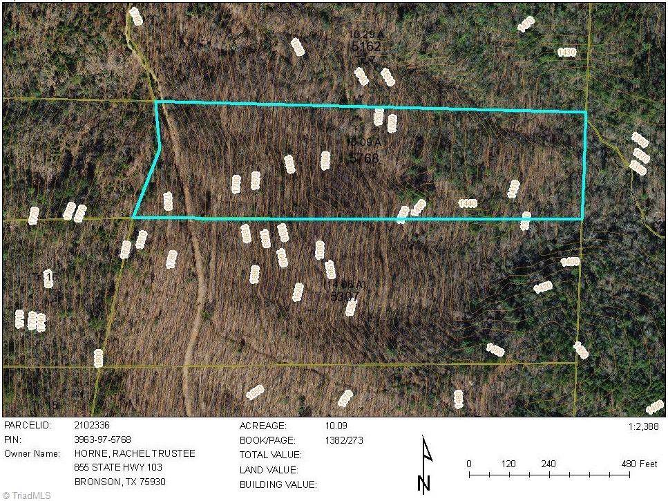 Tract 6 Blackberry Ridge Cabin Creek Road Property Photo 4