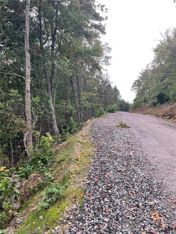Tract 6 Blackberry Ridge Cabin Creek Road Property Photo 8