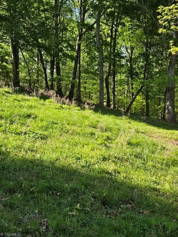 2001 Tot Hill Farm Road Property Photo 39