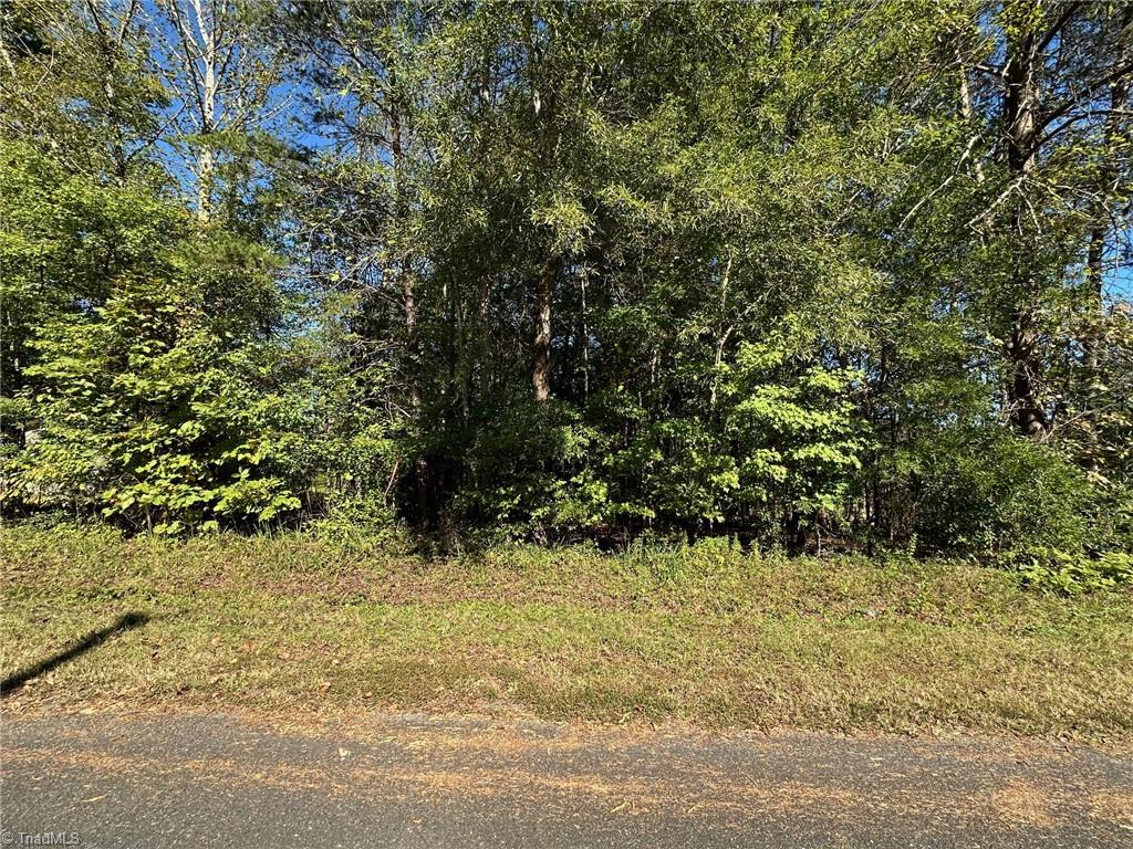 LOT 3 Reed Loop Property Photo 1