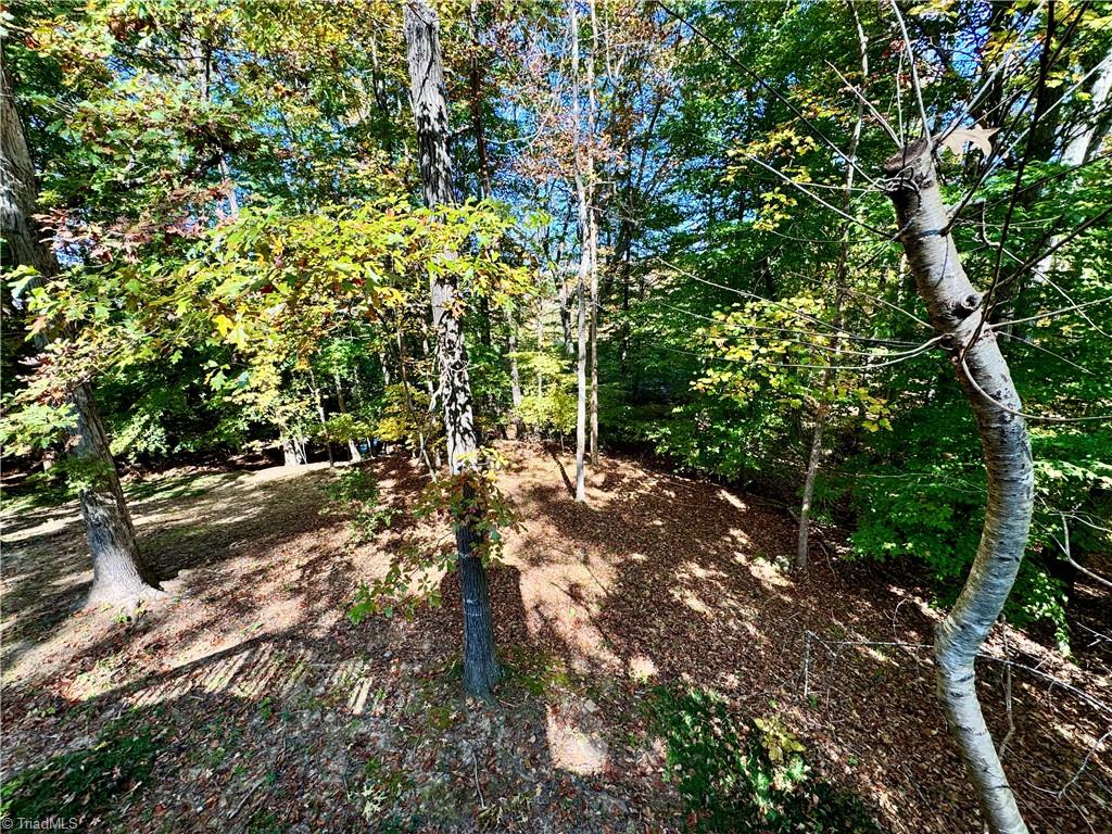 4019 Sherry Court Property Photo 45
