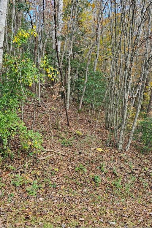 0 Moravian Creek Drive Property Photo
