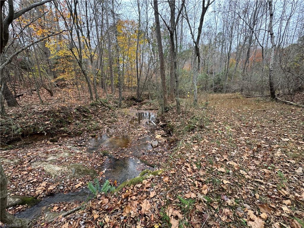 2546 Nc Highway 66 N Property Photo