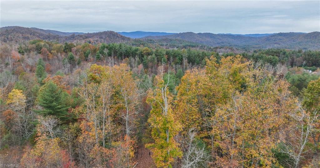 Tbd Us Highway 421 Property Photo