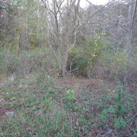 187 Caravan Lane Property Photo 2