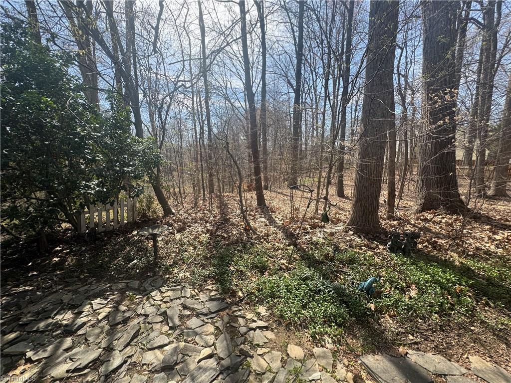 4 Chestnut Bluffs Court Property Photo 43