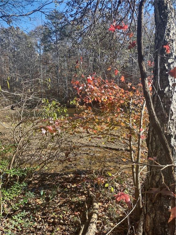 Portion Of 1790 Mallard Lakes Drive Property Photo 2