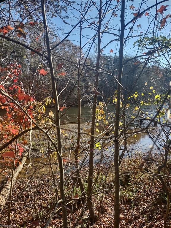Portion Of 1790 Mallard Lakes Drive Property Photo 3