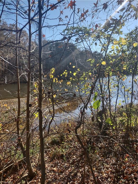 Portion Of 1790 Mallard Lakes Drive Property Photo 4