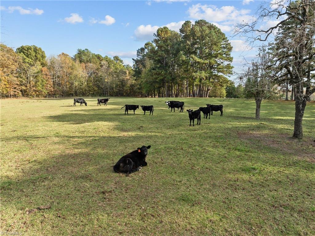 0-a Us Highway 311 Property Photo 8