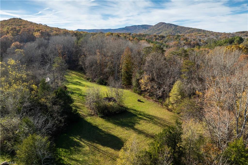 49.68 Acres Nc Highway 8 And 89 S Property Photo 1