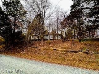 338 River Pines Trail Property Photo 2