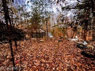 338 River Pines Trail Property Photo 3