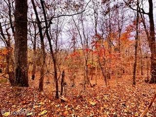 338 River Pines Trail Property Photo 5