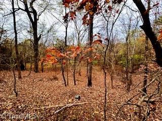 338 River Pines Trail Property Photo 6