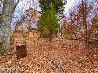 338 River Pines Trail Property Photo 7