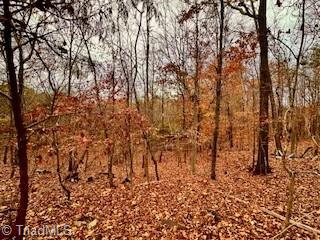 338 River Pines Trail Property Photo 11