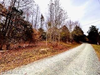 338 River Pines Trail Property Photo 12