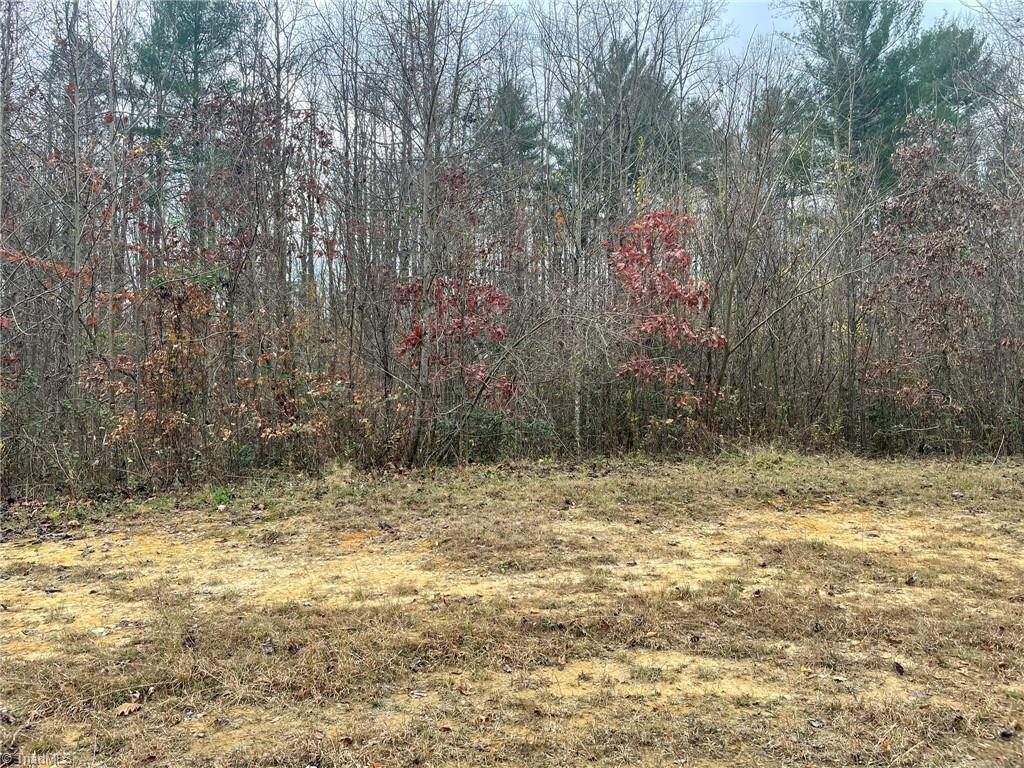 Block B Pulco Lane Property Photo 1