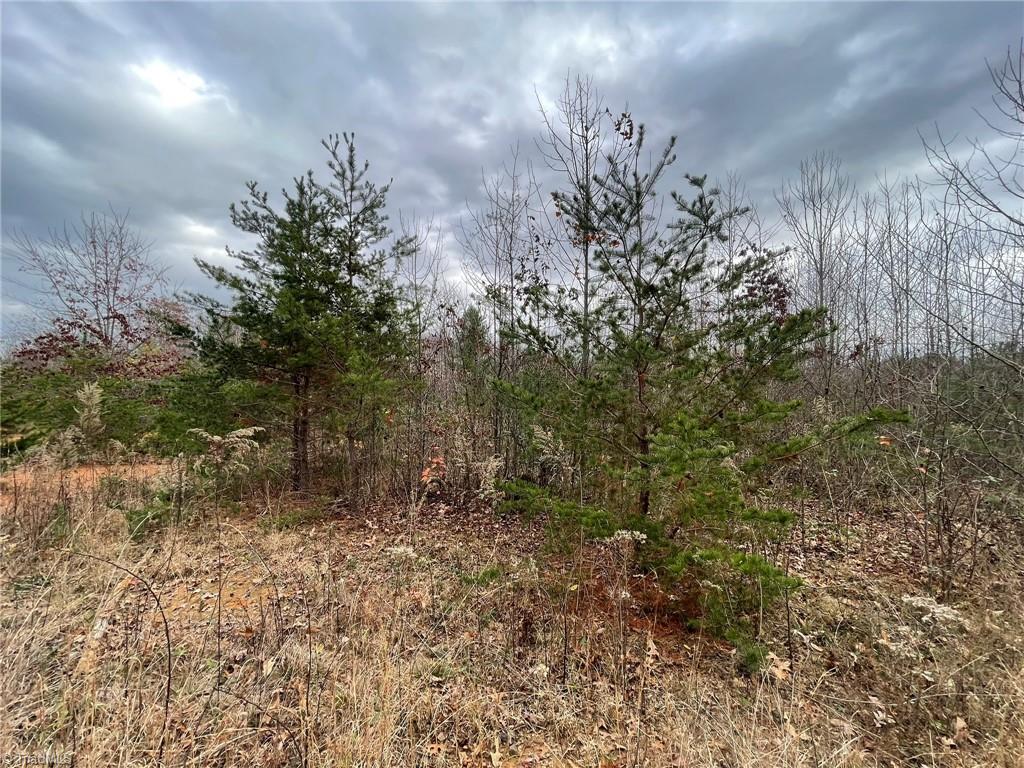 Lot 12 Pulco Lane Property Photo 1