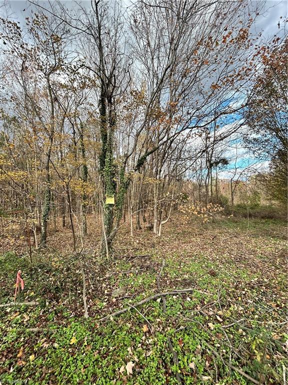 144 Brown Street Property Photo 13