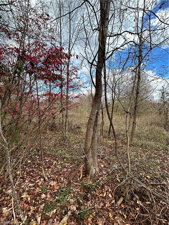 144 Brown Street Property Photo 19