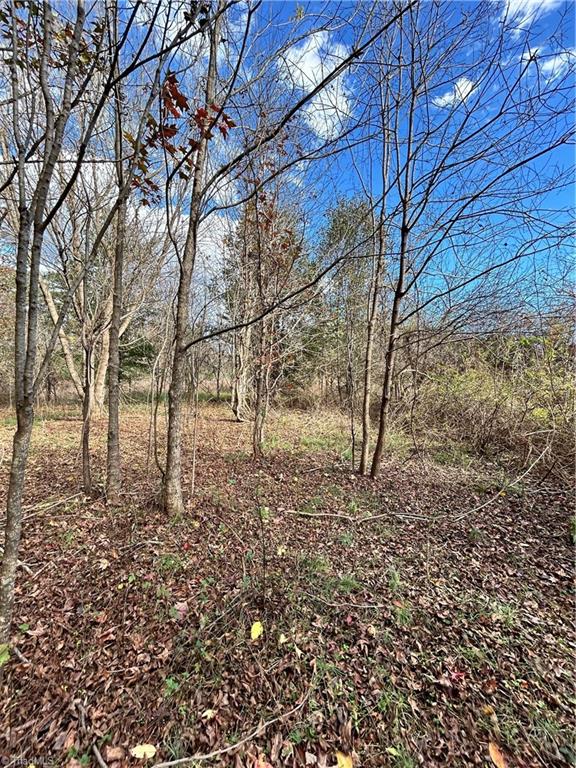 144 Brown Street Property Photo 22